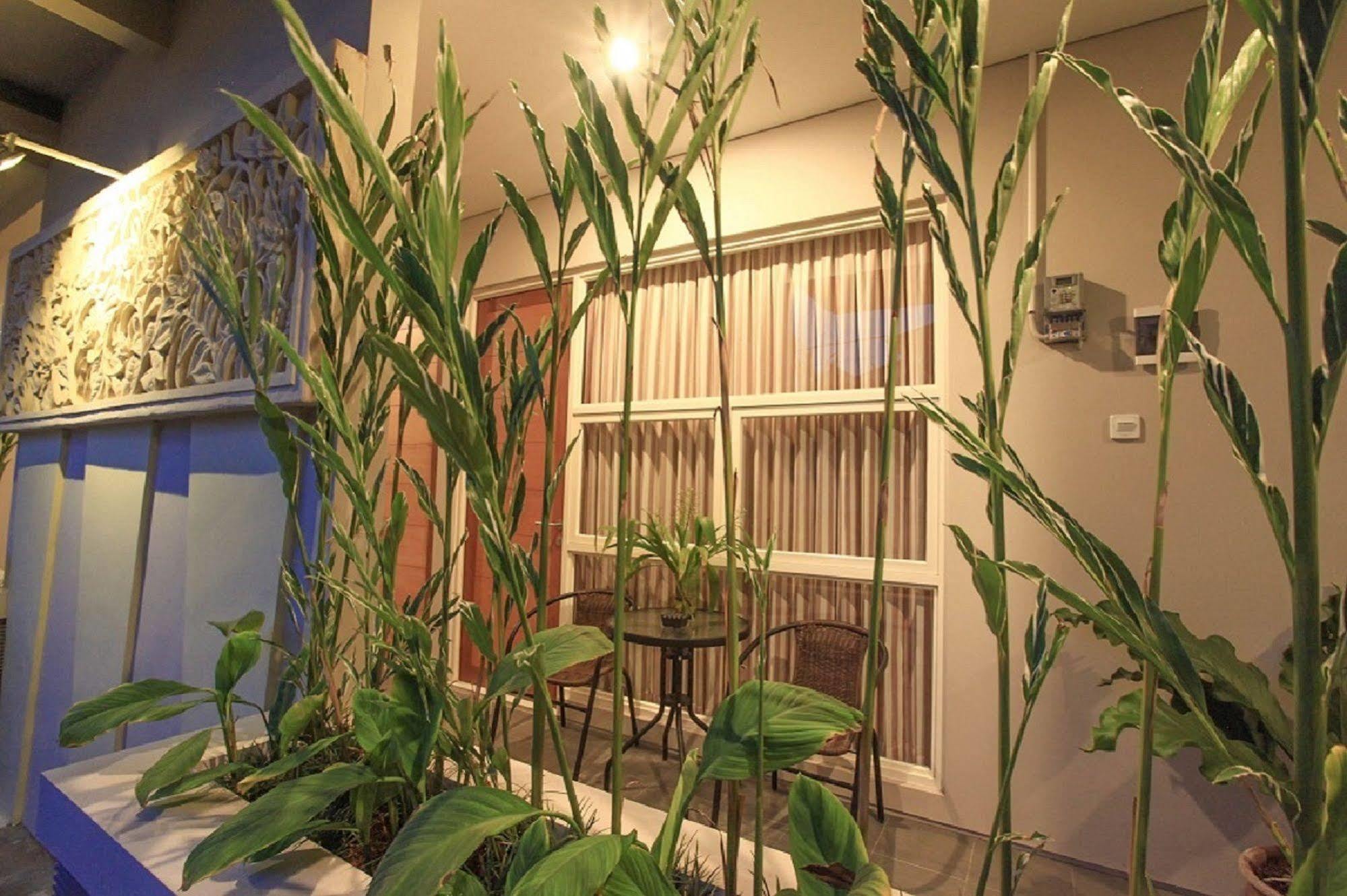 Bali True Living Aparthotel Denpasar Exteriör bild